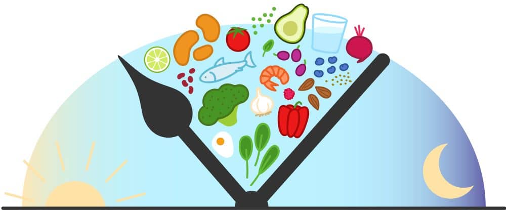 Early Time-Restricted Feeding improves insulin sensitivity.