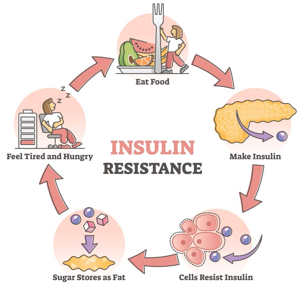 As insulin resistance develops, the body fights back by producing more insulin.