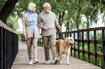 Walking is beneficial for bone health.