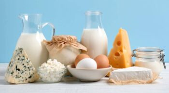 Milk and dairy products are rich sources of calcium.